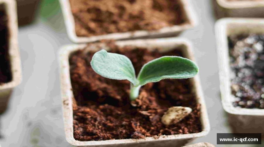 b.sports体育拼搏赢得未来，执着成就梦想